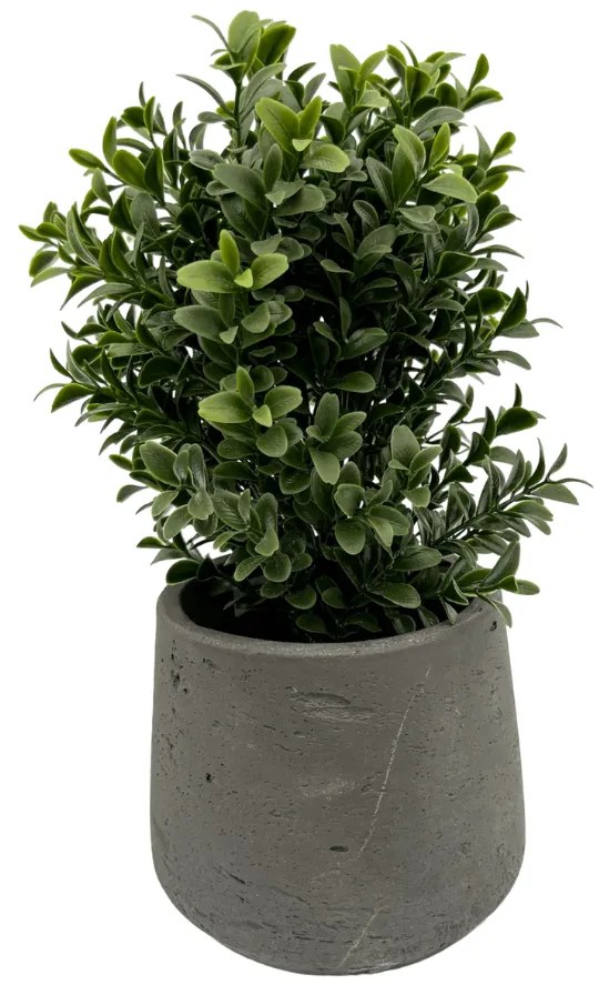 Buxus plant Kunstplant - 20 cm