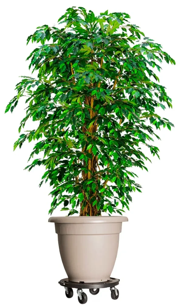 vidaXL Plantentrolleys met wielen 2 st 275 kg diameter 40 cm zwart