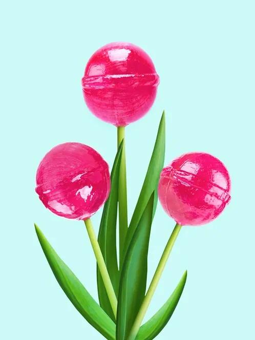 Lollipop Tulips