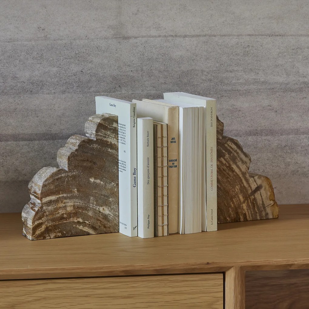 Set van 2 boekensteunen van versteend hout, Kayu