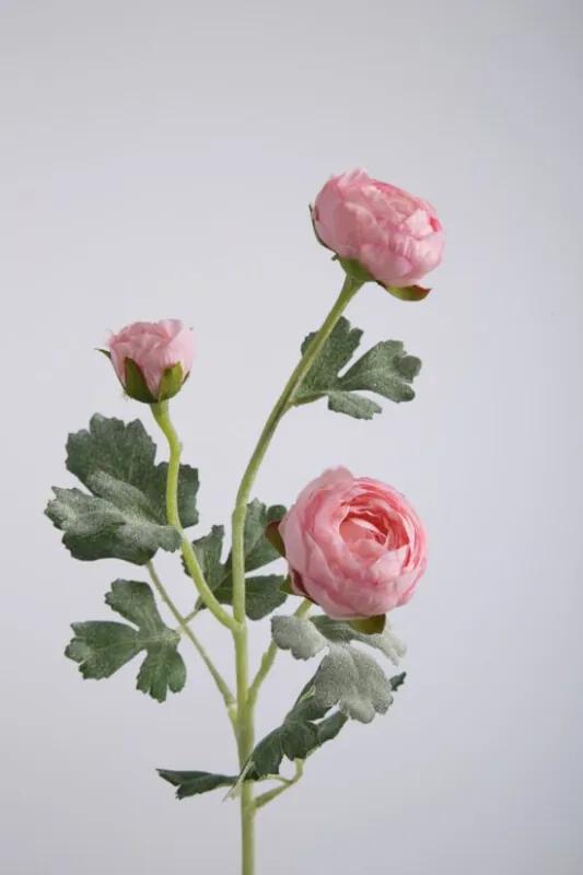 Ranonkel - zijden bloem - roze - topkwaliteit