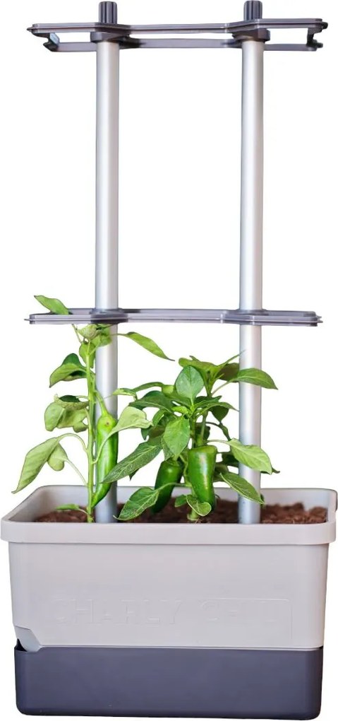 Gusta Garden CHARLY CHILI - peperkweekpot met waterreservoir en klimsteun - lichtgrijs