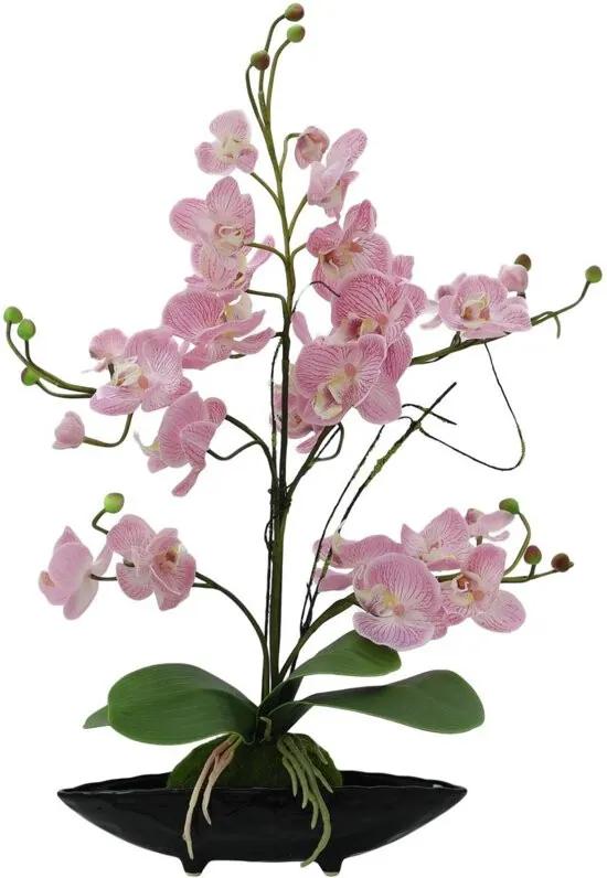 Orchidee Arrangement EVA, paars
