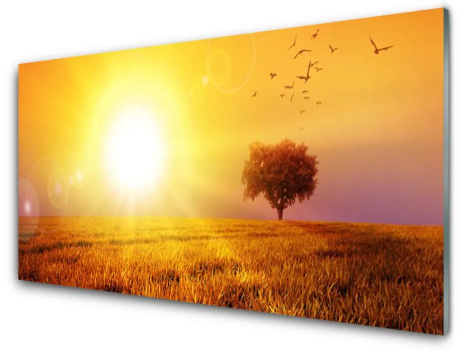 Foto schilderij op glas Sunset weidevogels 100x50 cm
