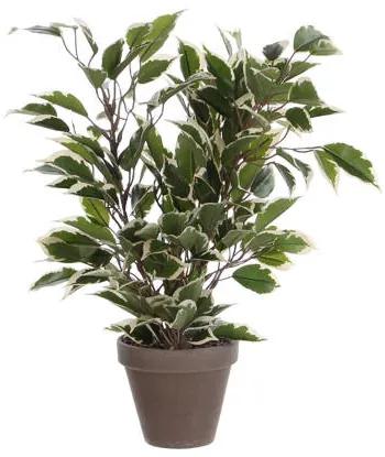 Kunstplant Ficus (h40 cm)