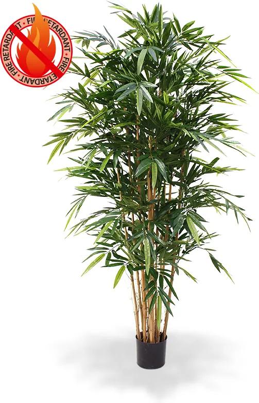 Bamboe Deluxe 180 cm FR