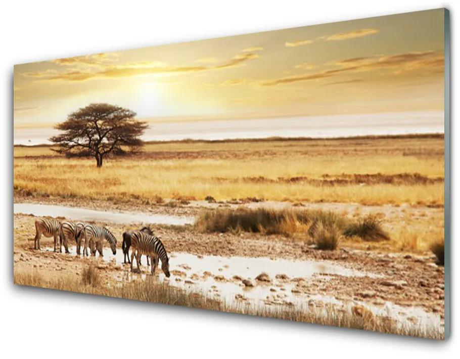 Glazen schilderij Zebra safari landschap 100x50 cm