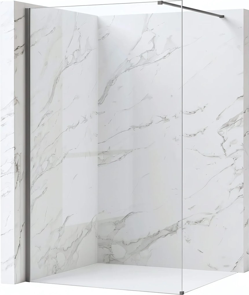 Walk-in douchewand Rea Flexi Transparent / Titan 100