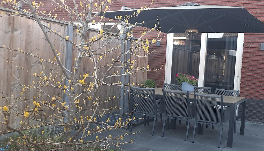 Manifesto Rivola dining tuinstoel