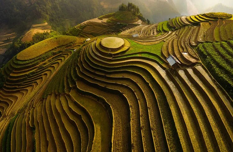 Foto Mu Cang Chai Vietnam, Dao Tan Phat