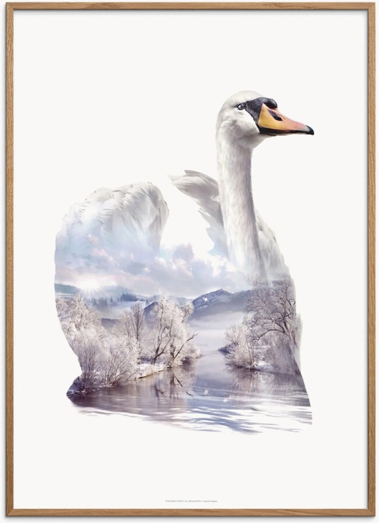 Ingelijste poster Swan van eikenhout