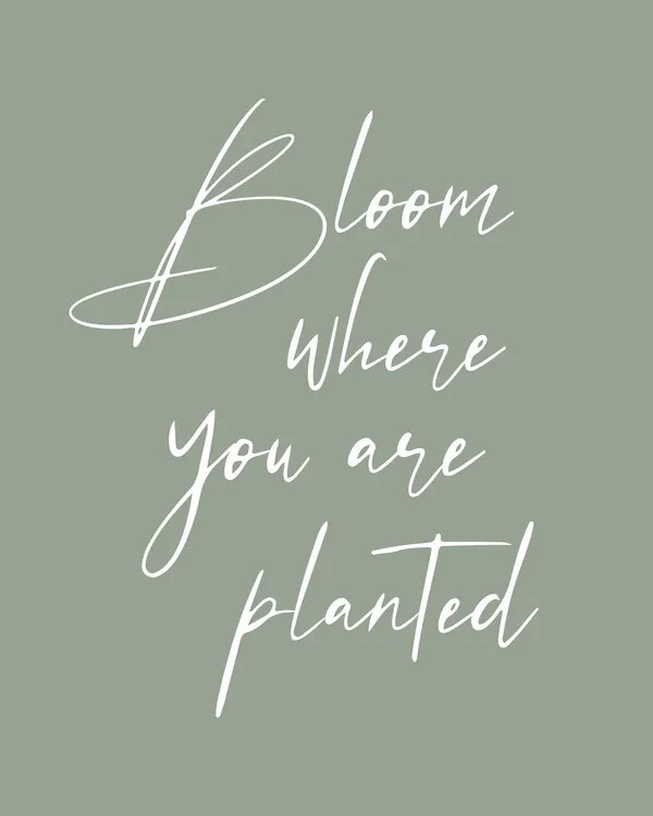 Ilustratie Bloom, Beth Cai