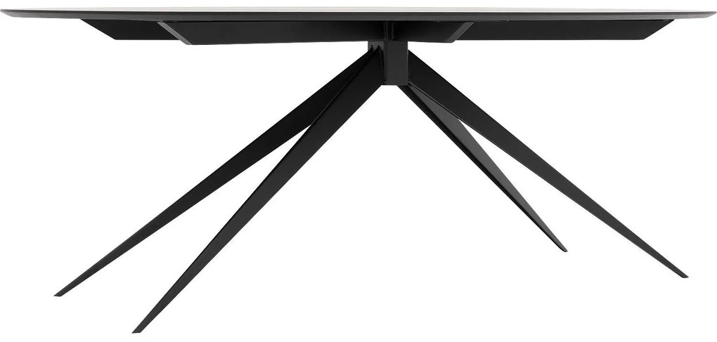 Goossens Excellent Eettafel Uniek, Ovaal 220 x 120 cm