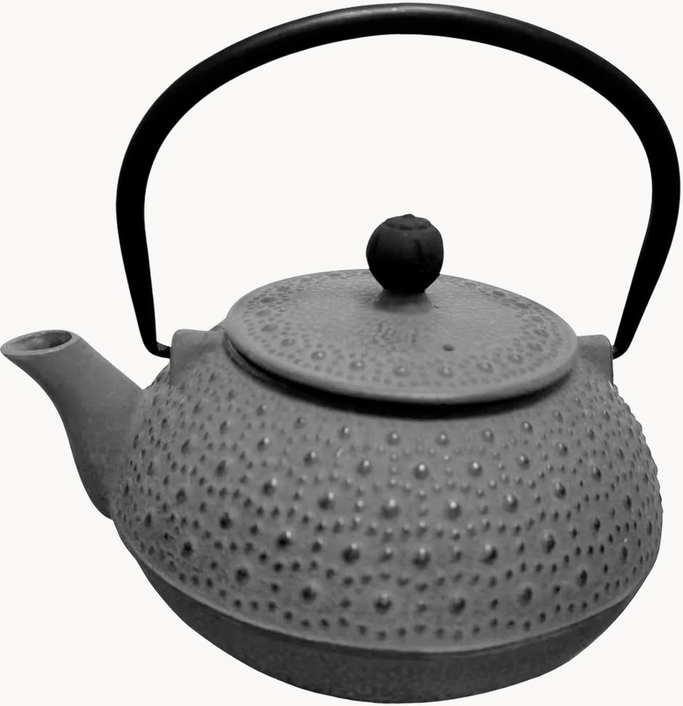 Theepot Basic van gietijzer