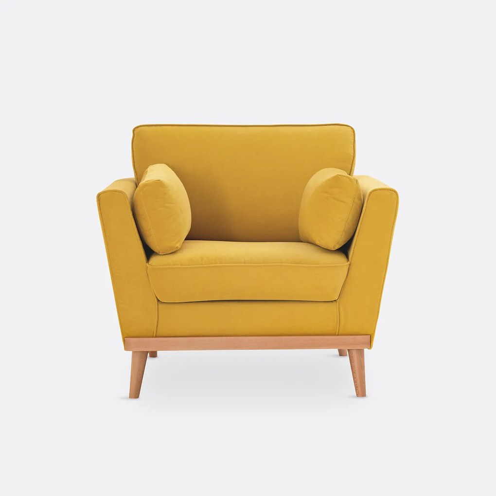 Fauteuil in fluweel, Tasie