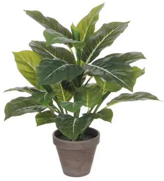 Kunstplant Evergreen (h49 cm)