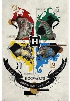 Posters Zwart Harry Potter  Taille unique