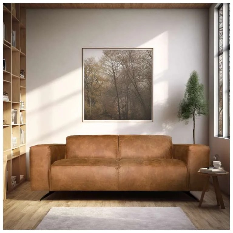 2 zitsbank - Lambada - leer Colorado cognac 03