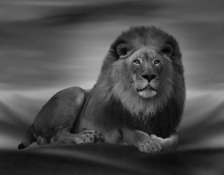 Fotobehang The Lion King, (128 x 96 cm)