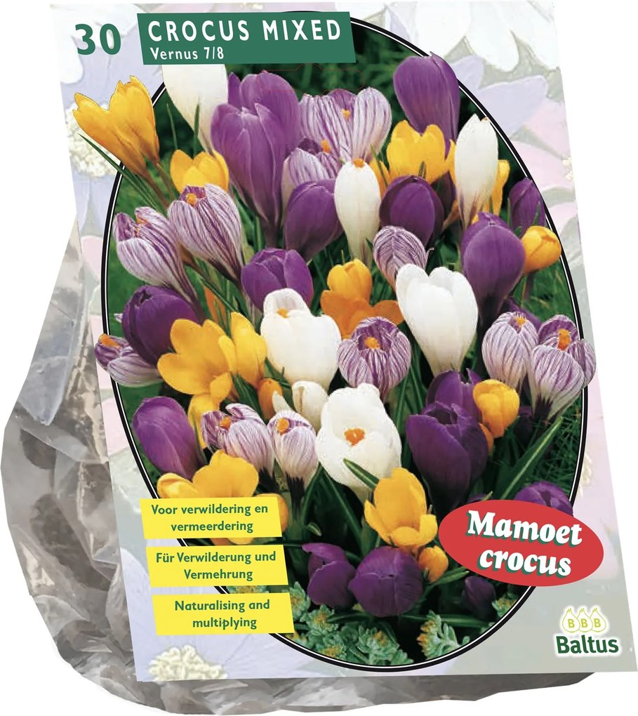 Baltus 'Crocus Grootbloemig' - voorjaarsbloeiers - Mix - 30 bollen