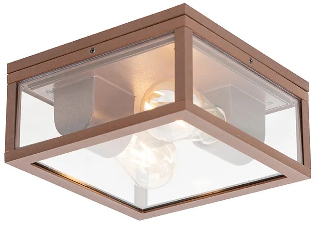 Industriële plafondlamp roestbruin IP44 2-lichts - Charlois
