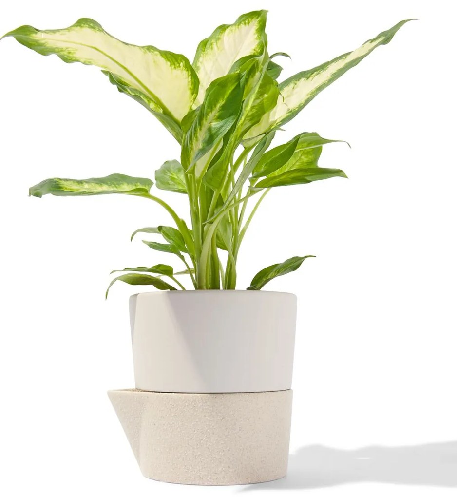 HEMA Zelfwaterende Bloempot Ø13x14.5 (naturel)