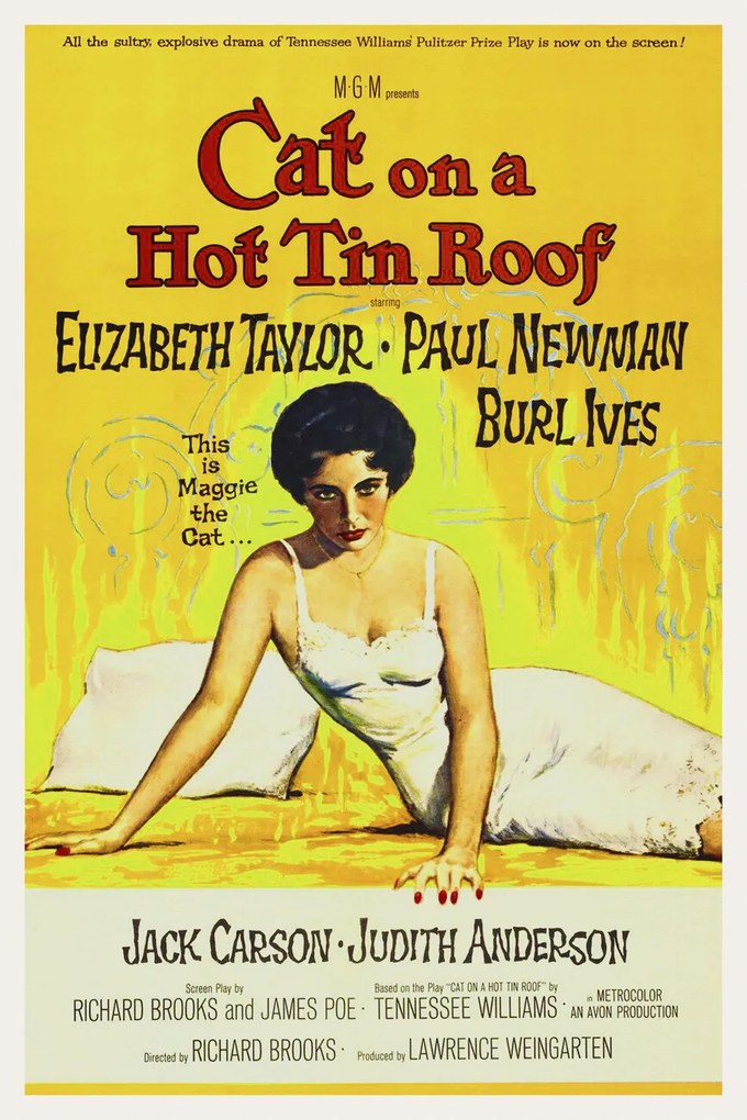 Kunstdruk Cat on a Hot Tin Roof / Elizabeth Taylor (Retro Cinema), (26.7 x 40 cm)