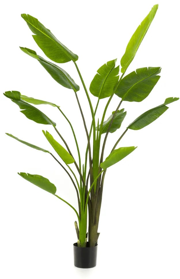 Kunstplant Strelitzia Nicolai - 180 cm