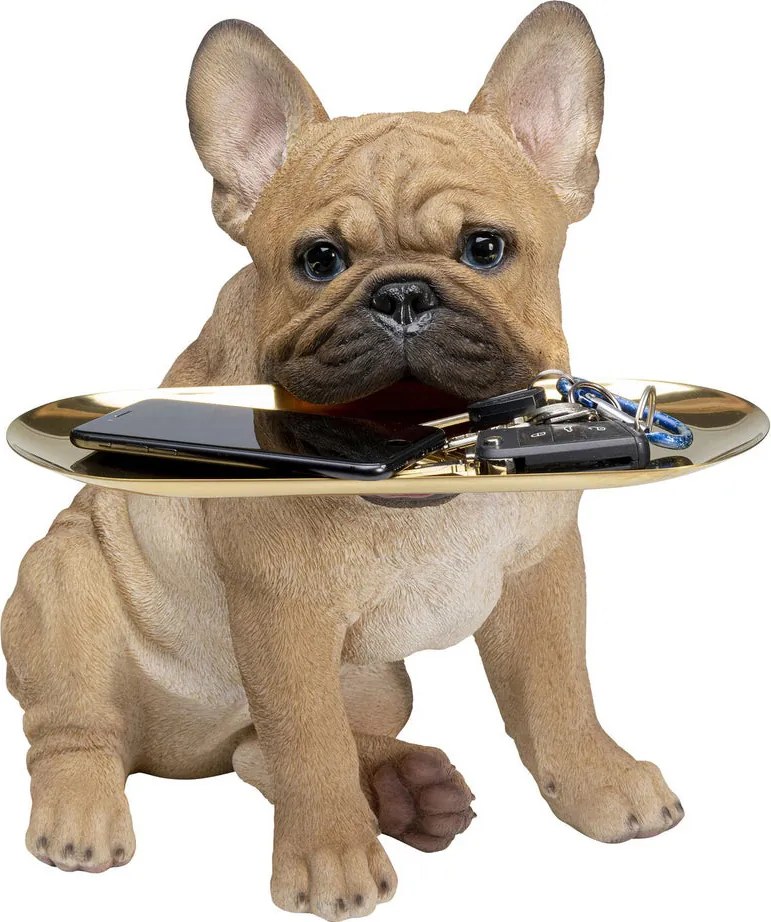 Franse Bulldog Met Dienblad
