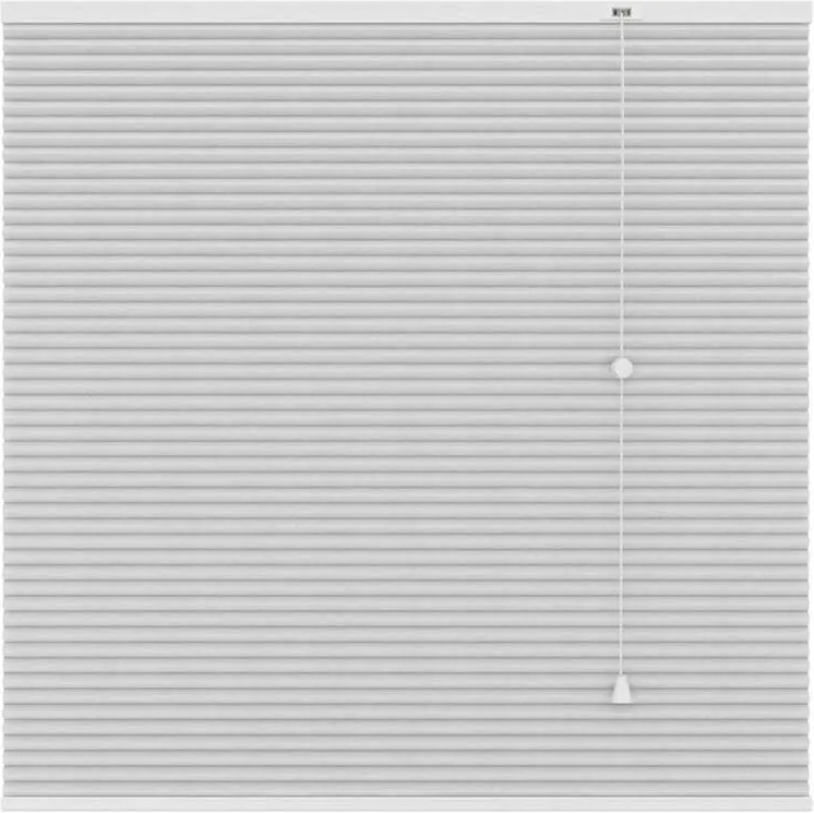 Plisségordijn duplistof lichtdoorlatend - wit - 100x180 cm - Leen Bakker