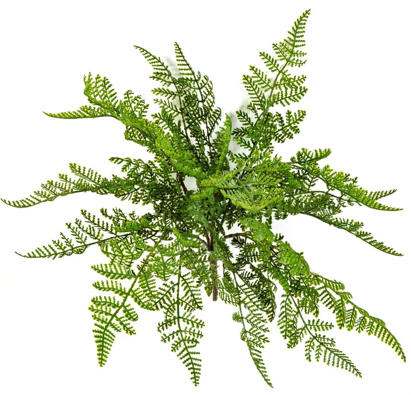 Boomvaren kunstplant - 30 cm