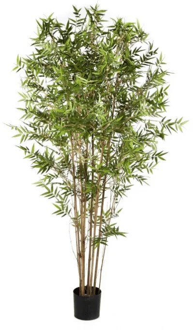Japanse Kunst Bamboe - 90 cm