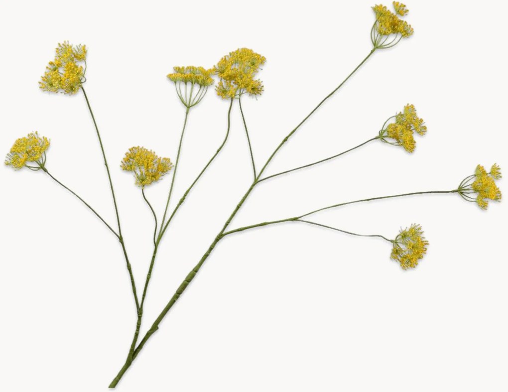 Handgemaakte kunsttakken Queen An Lace, 3-delig