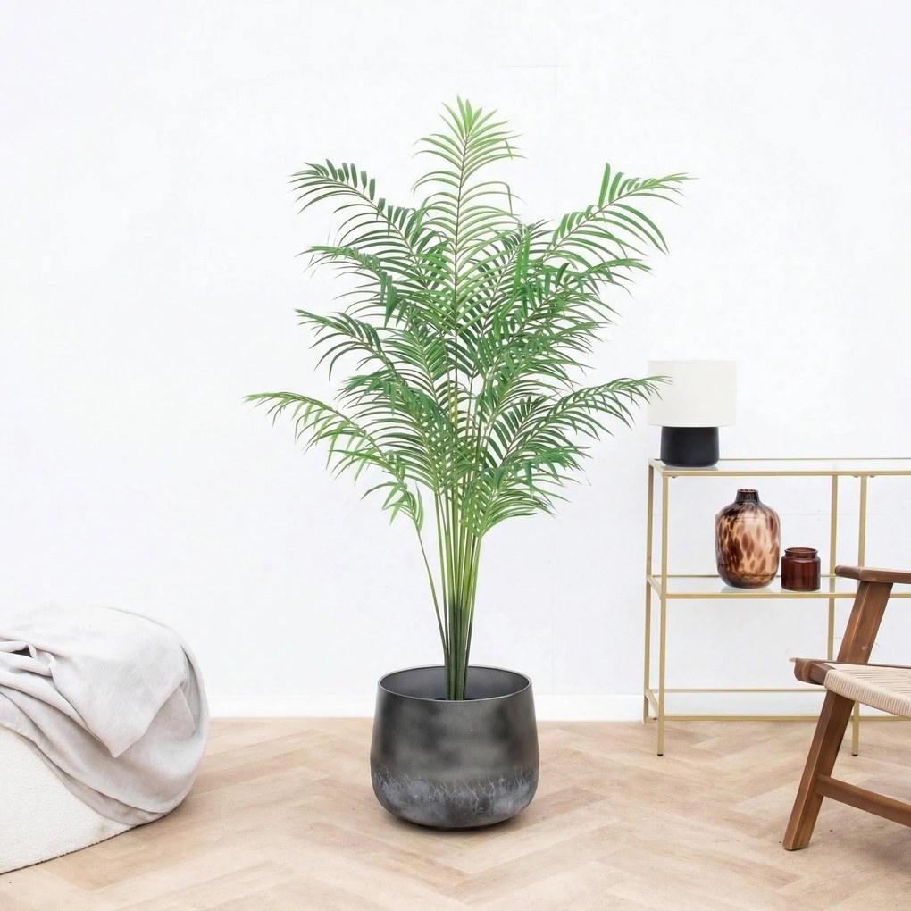 Kunst Kentia palm - 170cm