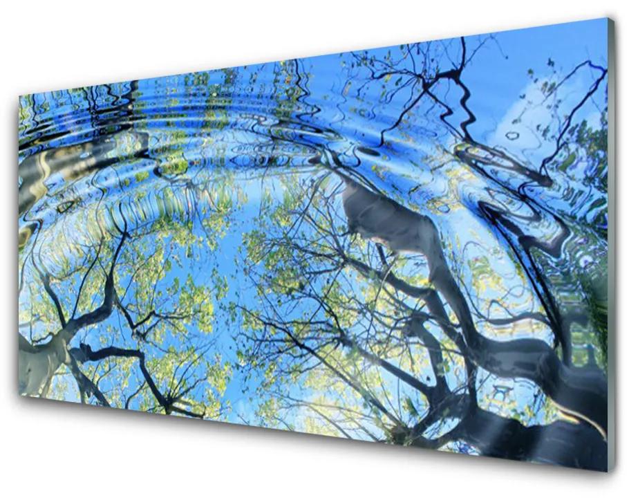 Plexiglas foto Water trees nature art 100x50 cm