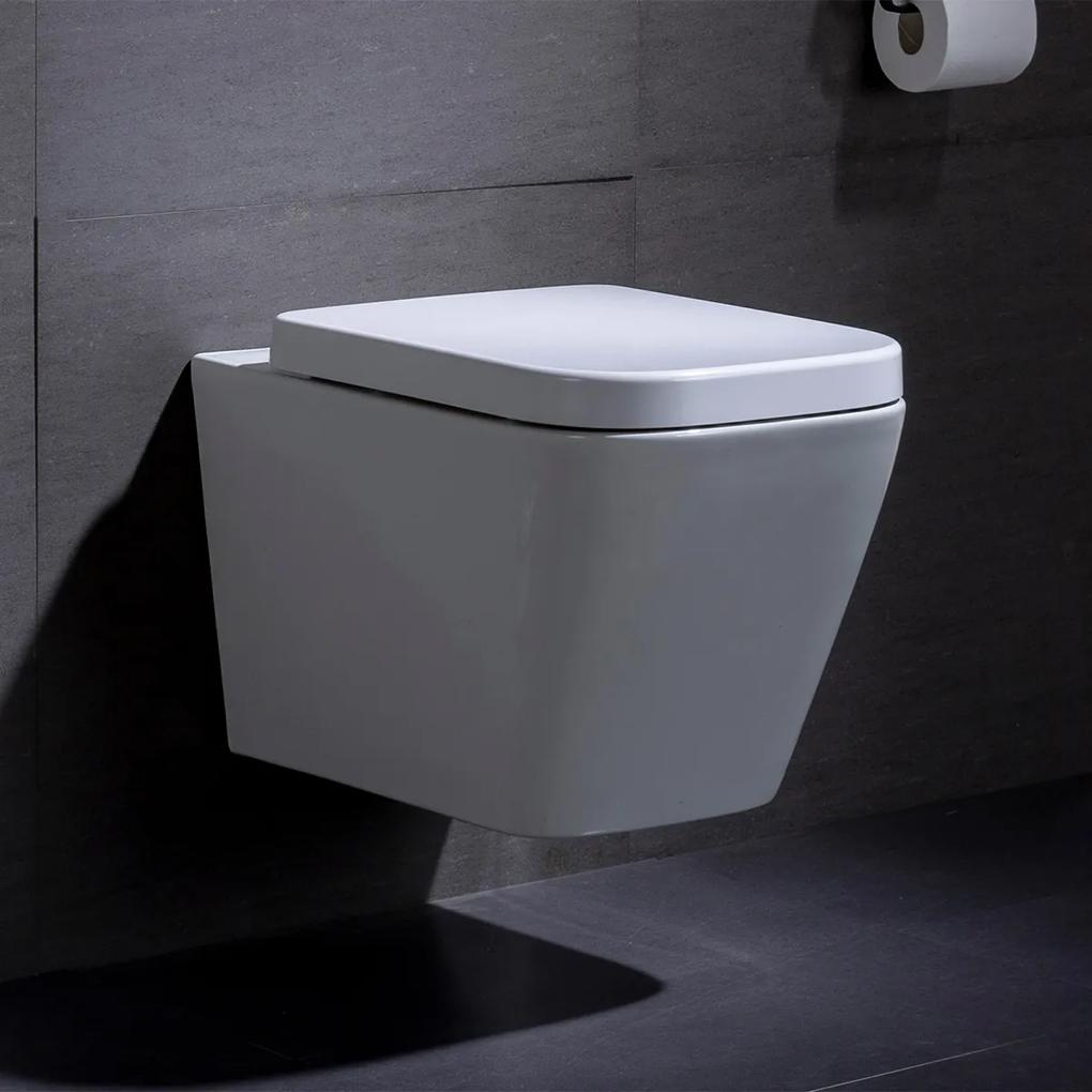 Wandcloset - Hangend toilet Alexandria - Inbouwtoilet Rimfree WC Pot