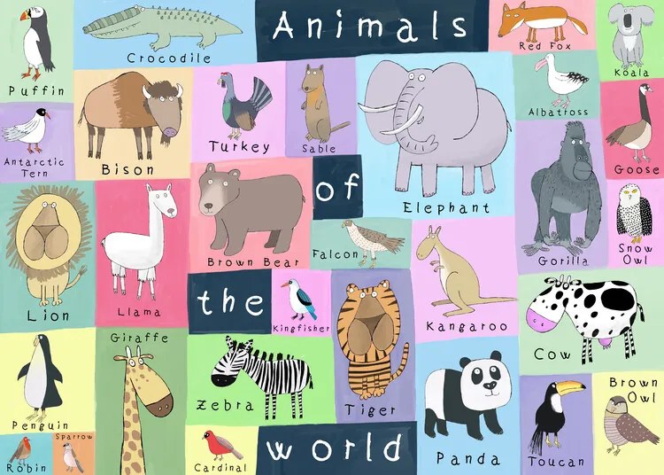 Ilustratie Animals of the World, Carla Daly