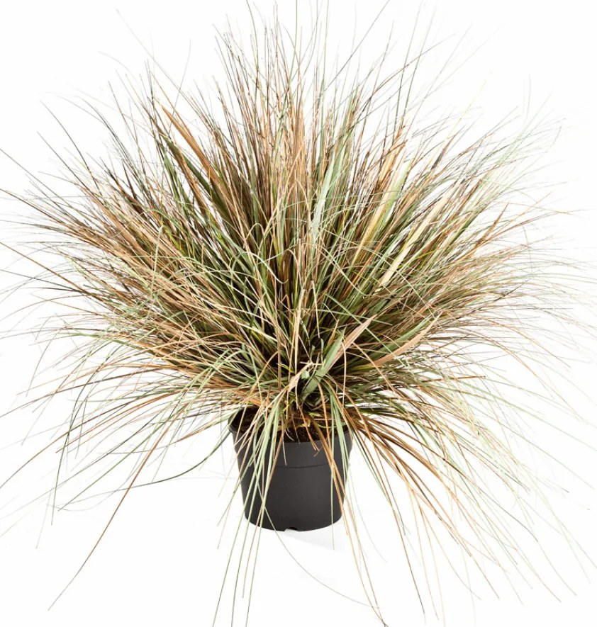 Kunstgras Onion Herfst - 70 cm