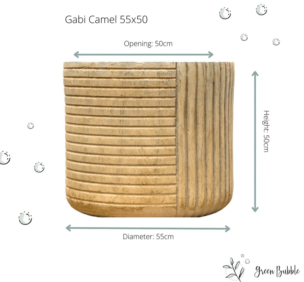 Pot Gabi camel