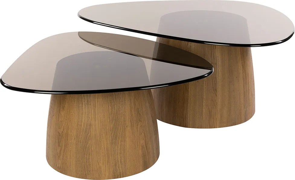 Driehoekige Salontafelset Met Rookglas - 91 X 75cm.