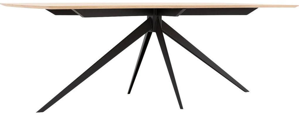 Goossens Excellent Eettafel Uniek, Semi rechthoekig 220 x 100 cm