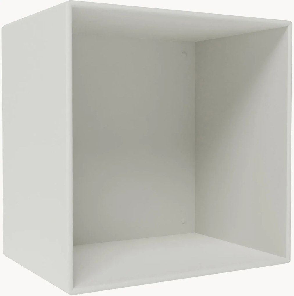 Module Mini 1001
