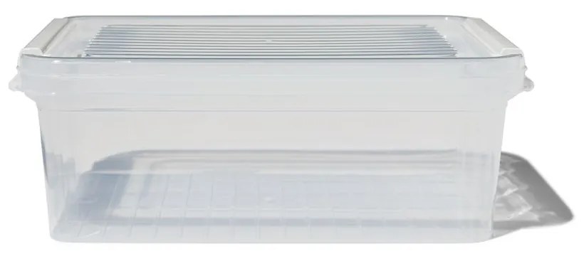 HEMA Opbergdoos Met Deksel 2.4L Dublin Transparant 25x17x10 (transparant)