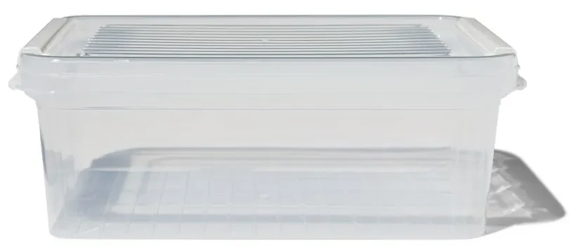 HEMA Opbergdoos Met Deksel 2.4L Dublin Transparant 25x17x10 (transparant)