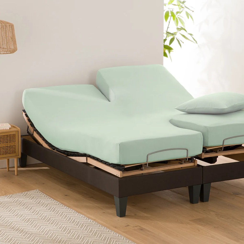 Effen hoeslaken in katoen, verstelbare bedbodem, Scenario