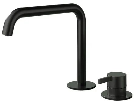 Hotbath Ace Wastafelmengkraan - opbouw - draaibare uitloop - 2gats - PVD - zwart geborsteld PVD AC023MBP