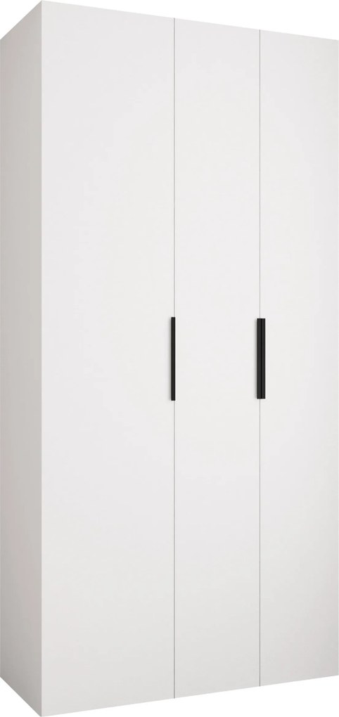 Kledingkast Hartford 573, Wit, Zwart, 246x120x42cm, 100.3 kg, Kledingkast deuren: Met scharnieren, Aantal planken: 8, Aantal planken: 8