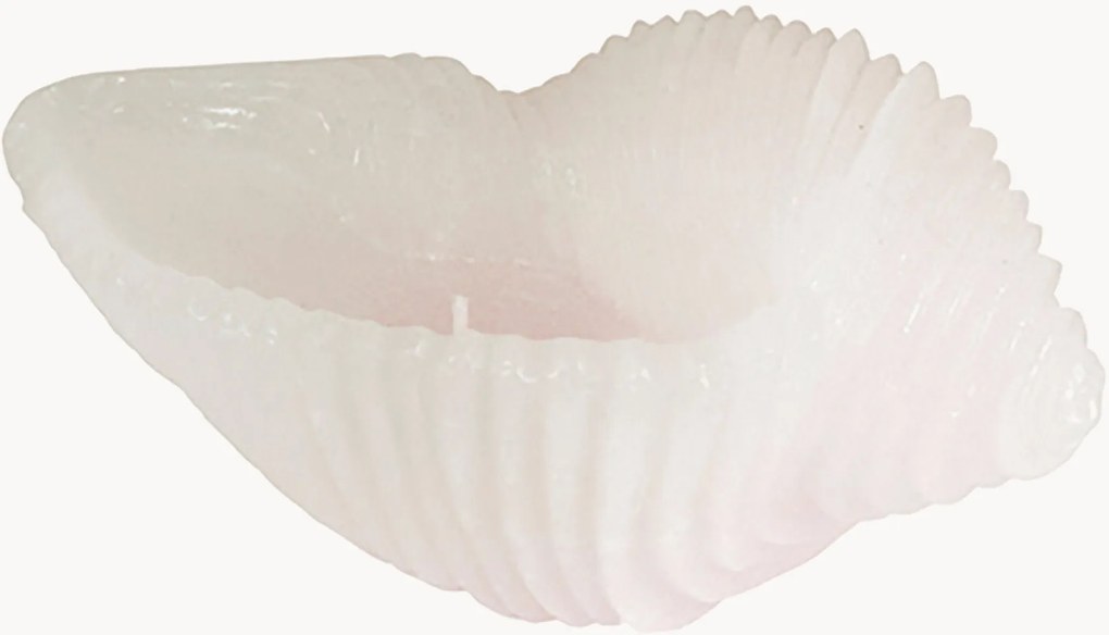 Handgemaakte kaars Cargol in schelp