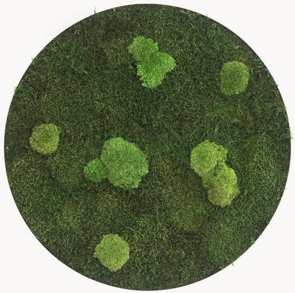 Handgemaakt decoratief mosobject Circle