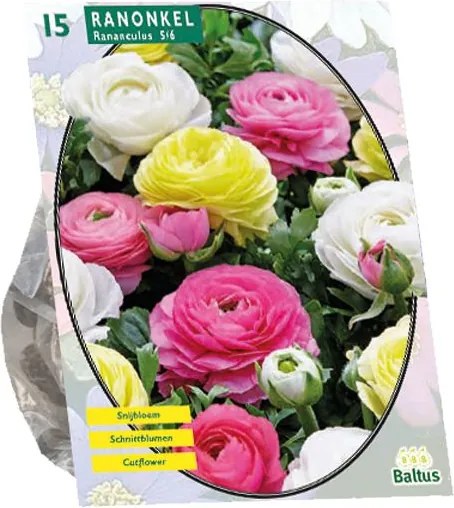 Baltus 'Ranonkel' - Pastel Mix - voorjaarsbloeiers - 15 bollen
